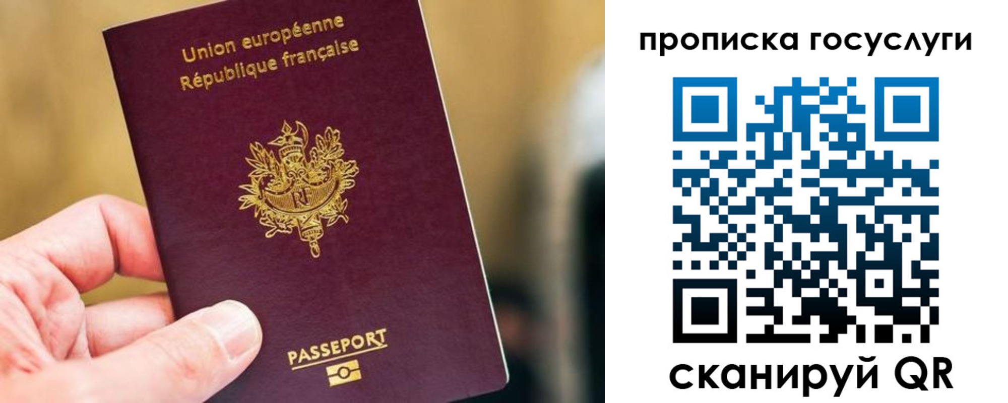 временная регистрация поиск в Коломне